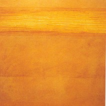 Non apparent 1  – 2000 –  90×60 cm