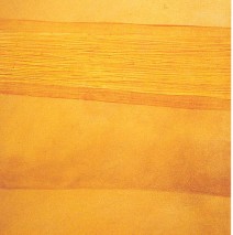 Non apparent 3   – 2000 –  90×60 cm