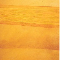 Non apparent 3   – 2000 –  90×60 cm