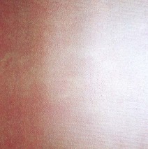 Aspect du soleil  2001  34×21  (collection privée)