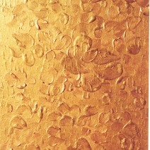 Aspect du soleil  2001  34×21  (collection privée)