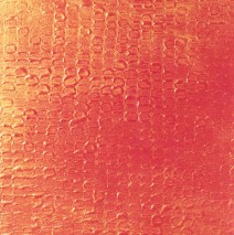 Aspect du soleil  2001  34×21  (collection privée)