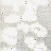 Aspect du soleil 2001  34×21 (collection privée)